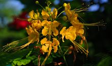 11月吉星坐镇，财运一路涨，不愁没钱赚的四属相