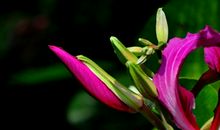 11月9号起运势稳步提高，咸鱼翻身偏财旺，奖金暴涨的四属相