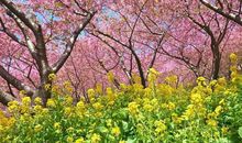 未来半个月，3大属相运气旺到家！横财不绝，祥瑞氤氲，步步为赢