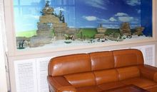 家居风水鱼常识