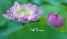 11月开门见喜的四生肖，脚踩聚宝盆，贵人运特别旺