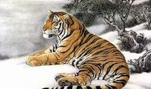 不敢让人小瞧的三大生肖，胆子、脾气大，智慧了得