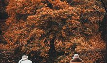 测测你智商已欠费多少元，敢来吗