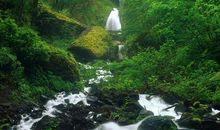 11月天道酬勤，天赐大吉兆，横财发不停的四大生肖