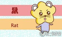 十二生肖女谁最温柔