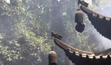 唐朝至今看风水如何演变