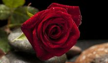 恭喜四生肖财运逆袭，10月26号开始行贵人大运，定能富贵一生!