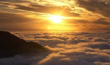 11月顺风顺水，家业兴隆，全家沾光的四大生肖