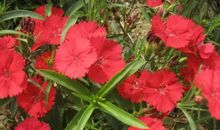 敢爱敢恨三大星座，爱一个人用尽所有，恨一个人不忘一生！