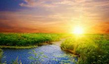 2019年财运会好转的生肖