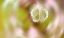 双鱼座表白被拒绝后