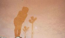 水瓶座表白被拒绝后