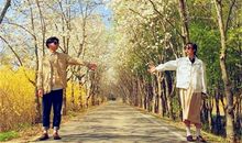 说分手不过是想被挽留的星座