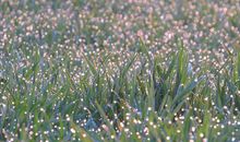 属虎人2019年的吉利和不利方位