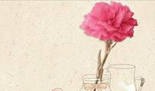 教师节送老师什么鲜花好呢