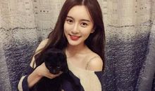 十二生肖中排名前三的颜值担当