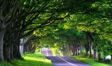 双子座天不怕地不怕就怕什么