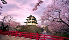 射手座天不怕地不怕就怕什么