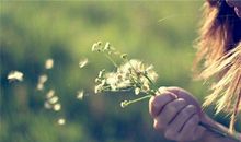 12星座天不怕地不怕就怕什么