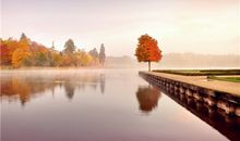 金牛座天不怕地不怕就怕什么