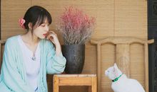 没心没肺，不懂得感情的生肖