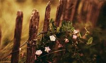 隐藏之深，难以让人了解的星座