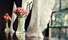 你是不愿意借别人东西的星座吗