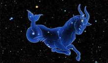 摩羯座女生会栽在哪种男人手中