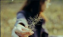 射手座出轨的原因是什么