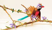 有关12生肖的败月之说？