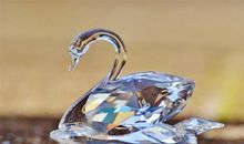 不靠颜值吃饭，生活中也吃香的三大生肖女