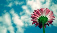 从来不因为喜欢主动联系你的星座