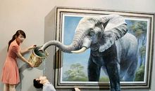 塔罗牌占卜：你的艺术细胞有多少？