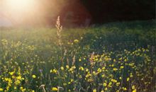 越爱越深的生肖女