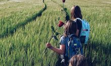 占卜朋友对你的忠诚指数有多少