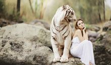 梦见老虎攻击人是好梦吗