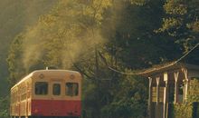 爆竹声响，春节却不敢回家的星座