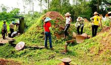 清明祭祖仪式程序，清明节扫墓步骤