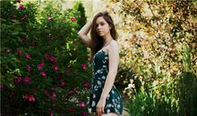 属鸡人生肖配对宜忌