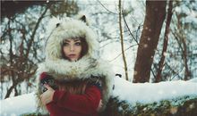 属猪人生肖配对宜忌