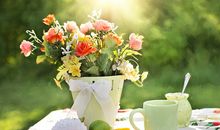 人缘超好，朋友最多的星座