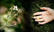 能够大富大贵的嘴型