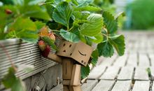 有个XX座朋友到底棒在哪