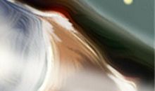 有两条感情线说明什么？