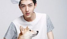 对待感情如吃饭穿衣一般随便的星座