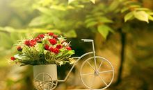 12星座男生最喜欢的恋爱模式排行榜