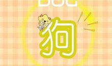 属狗为什么让旧爱无法忘怀