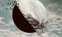 人为什么会做噩梦？噩梦会有什么后果