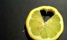 期待但害怕爱情的星座