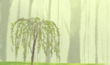 属猪最无法释怀的事